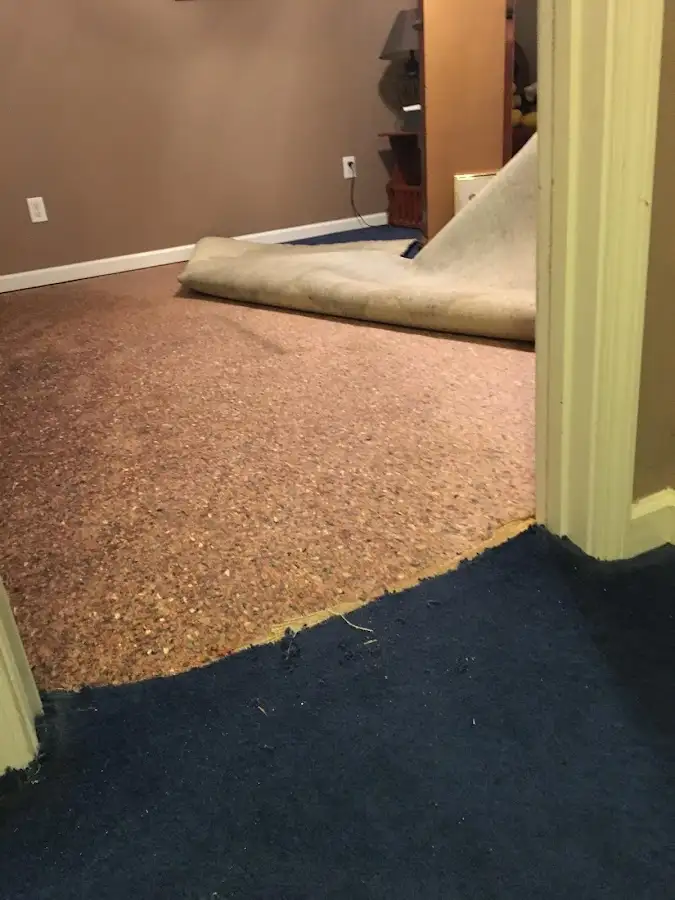 Carpet pad removal revealing water damage during Drying & Dehumidification in Cheviot