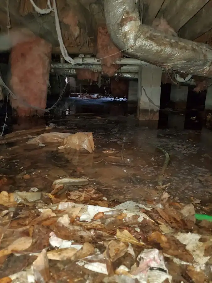 Crawl space flood assessment for Leak Detection & Repair in Cheviot