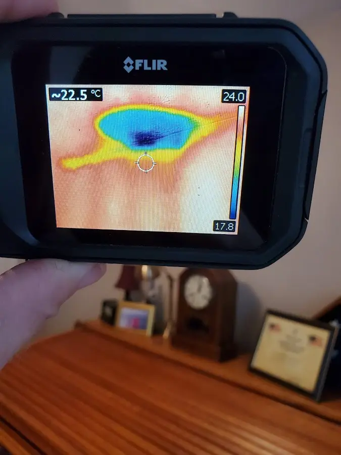 Thermal imaging inspection for water damage in Cheviot